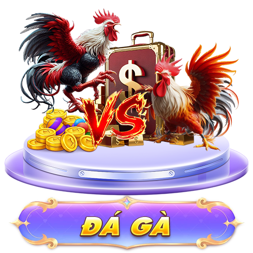 icon đá gà 8day