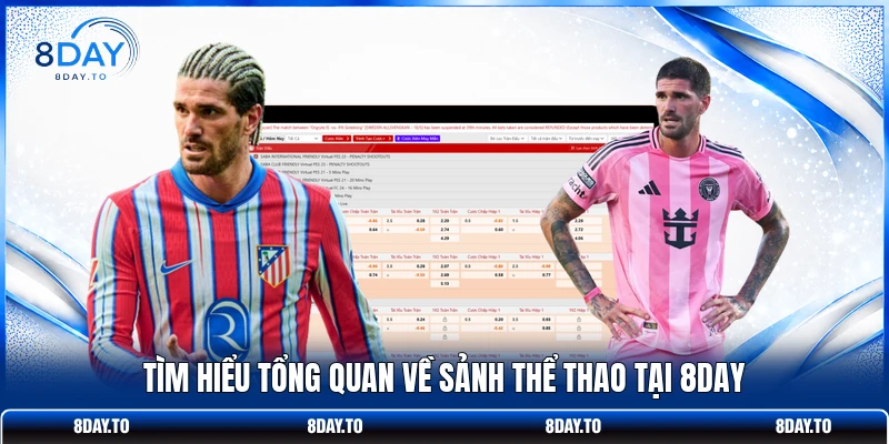 Tìm hiểu tổng quan về sảnh thể thao tại 8DAY
