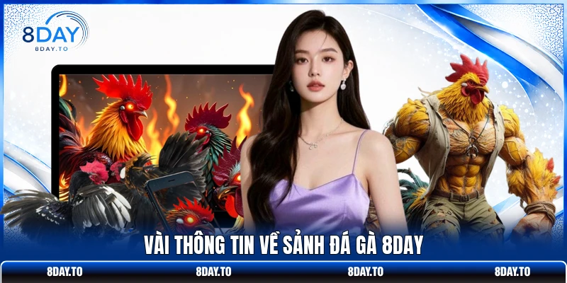 Vài thông tin về sảnh đá gà 8DAY
